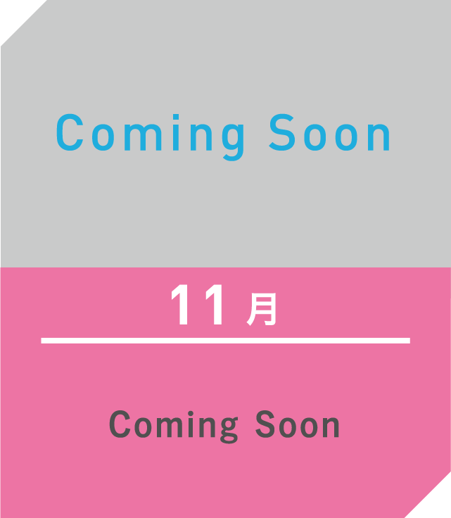 11月
