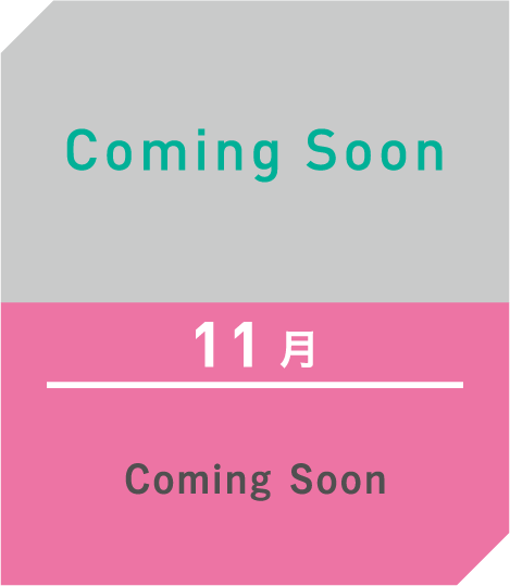 11月