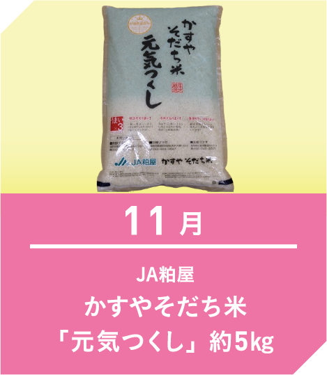 11月