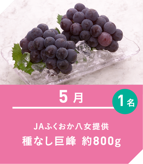 5月